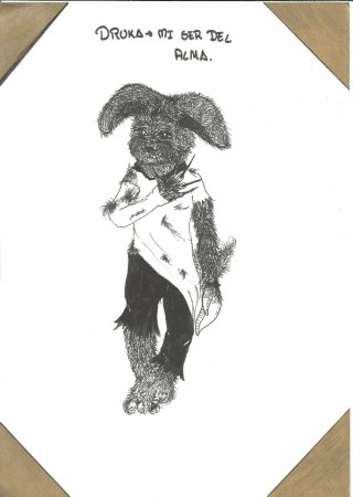 ¿Cómo realizar la actividad?